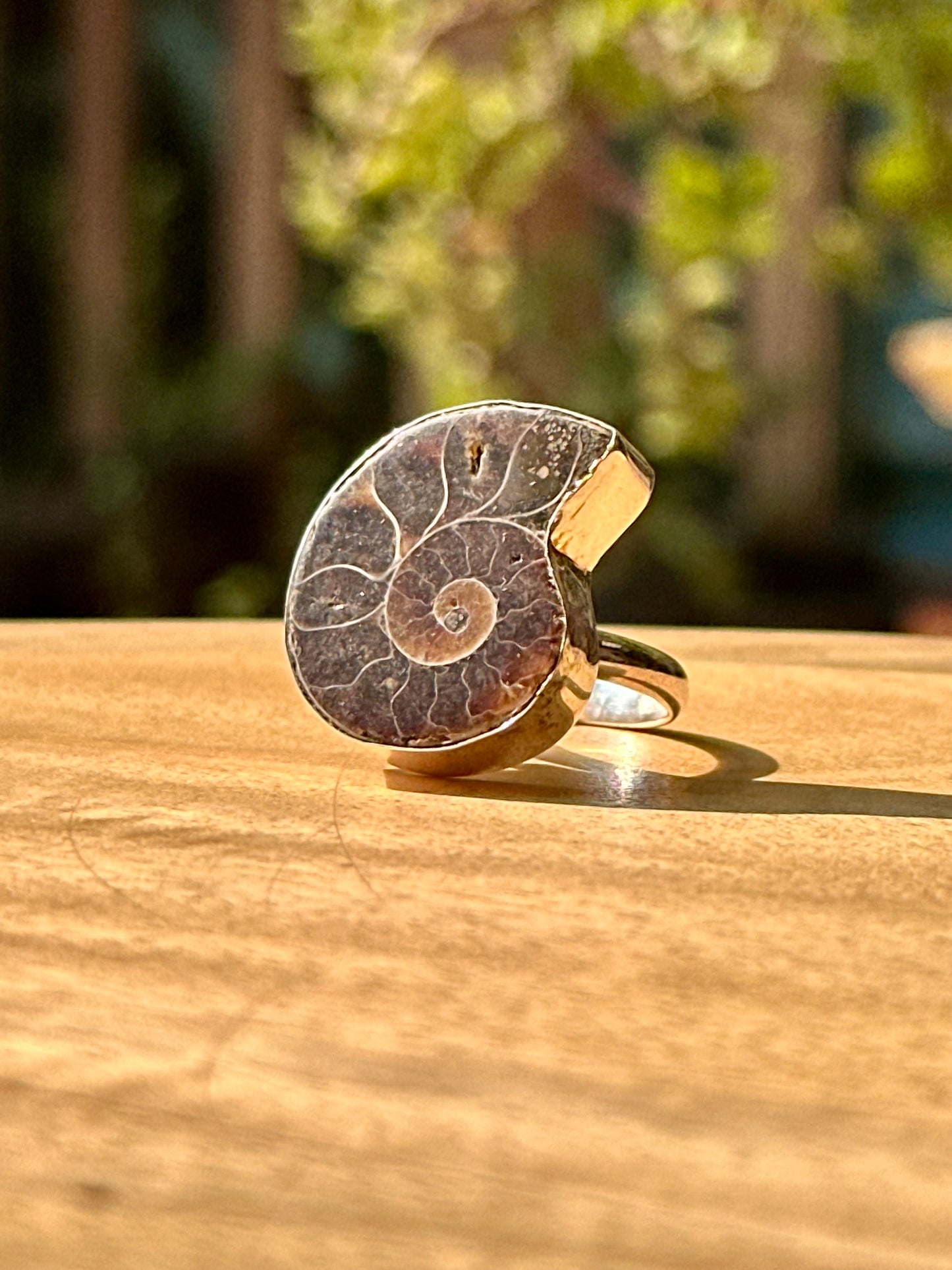 Anillo ajustable de Amonite