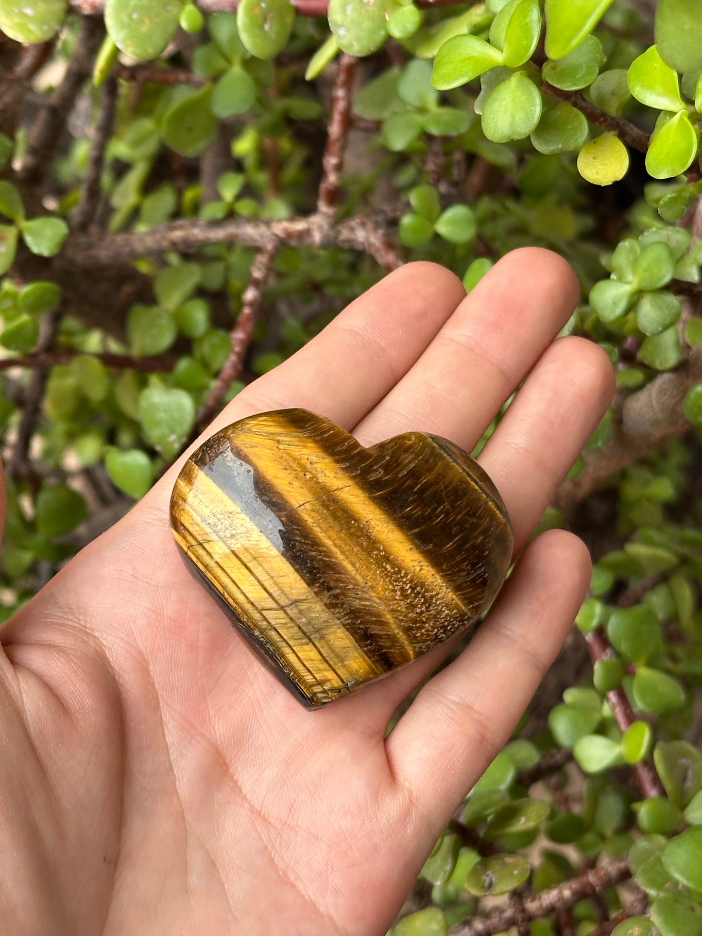 Ojo de Tigre Tallado en Forma de Corazón