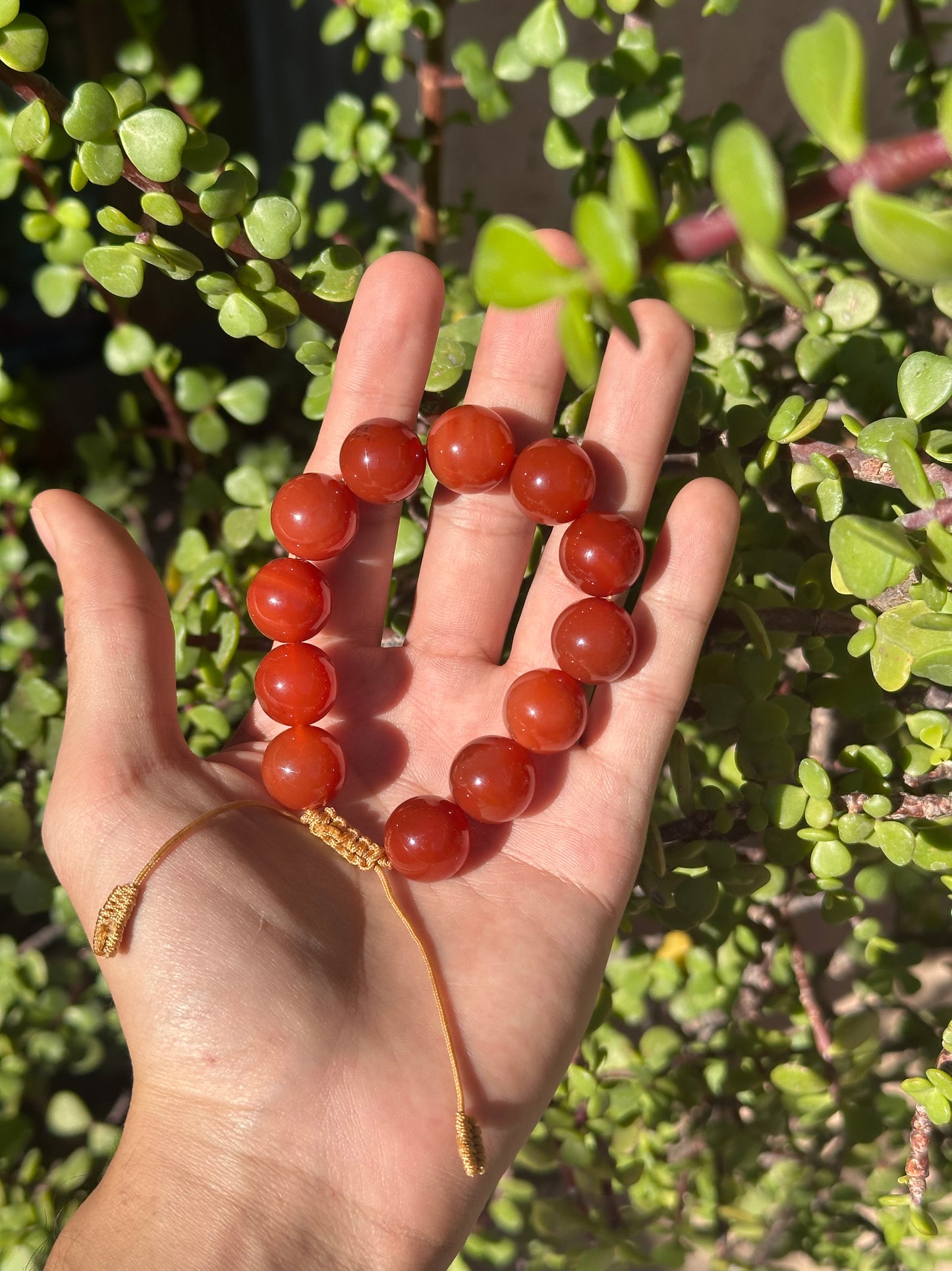 Pulsera Ajustable de Cornalina 16mm
