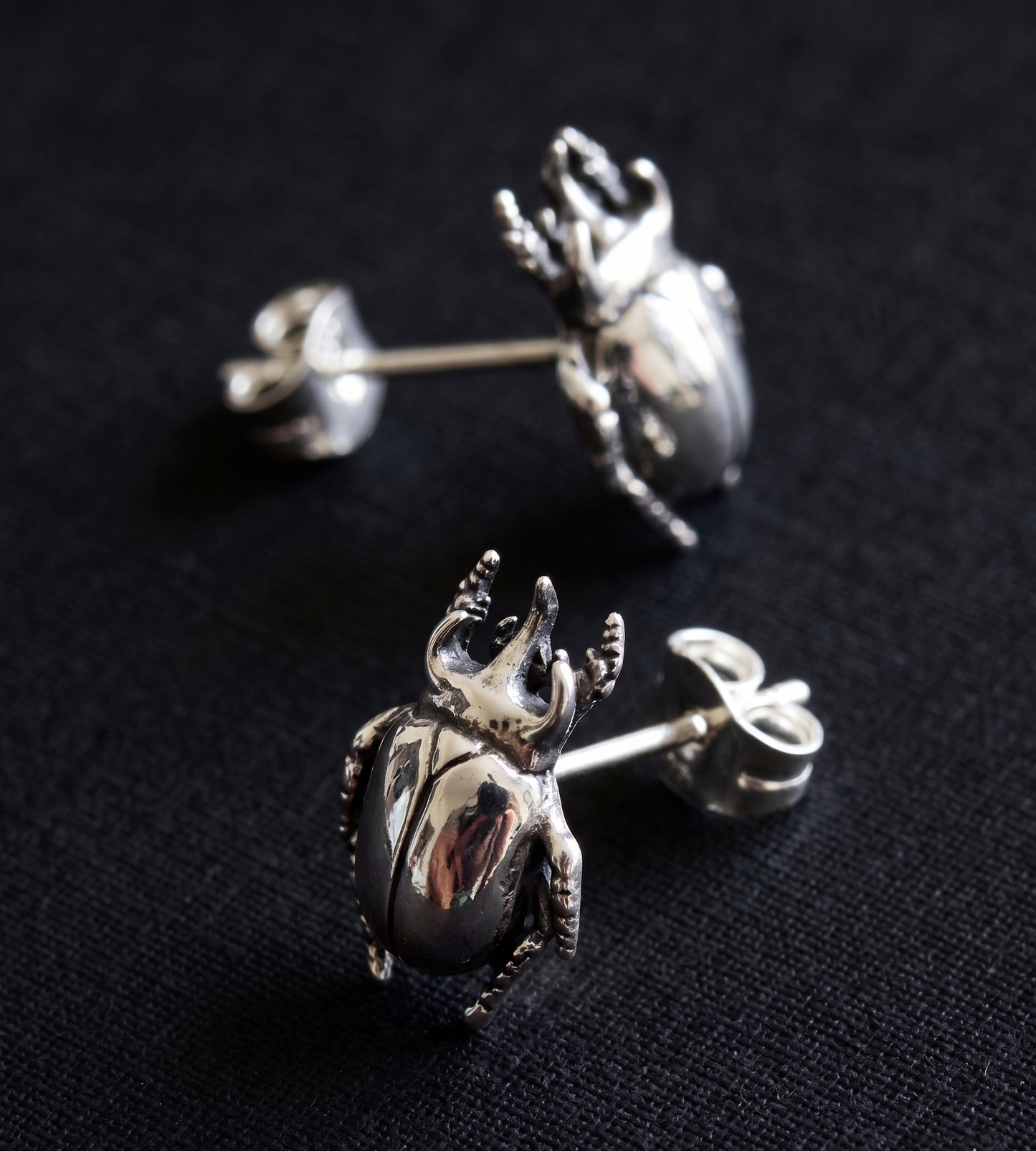 Aretes de Escarabajo