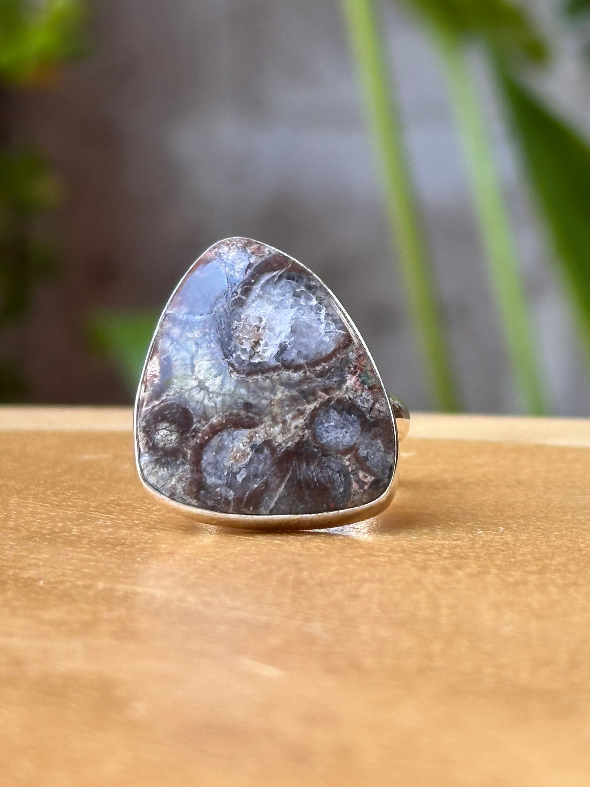 Anillo Ajustable de Jaspe Cocodrilo en Alpaca Platinada