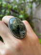 Anillo Ajustable de Prehnita