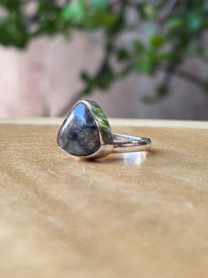 Anillo Ajustable de Chiastolita