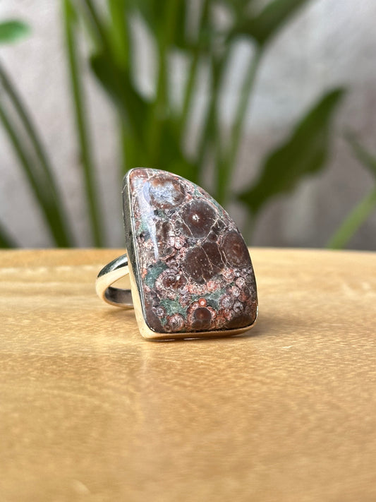 Anillo Ajustable de Jaspe Cocodrilo en Alpaca Platinada