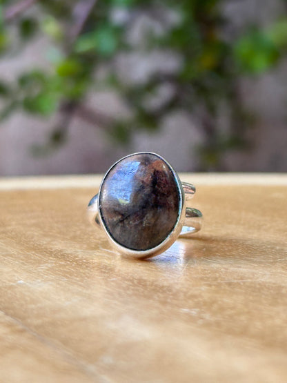 Anillo Ajustable de Chiastolita