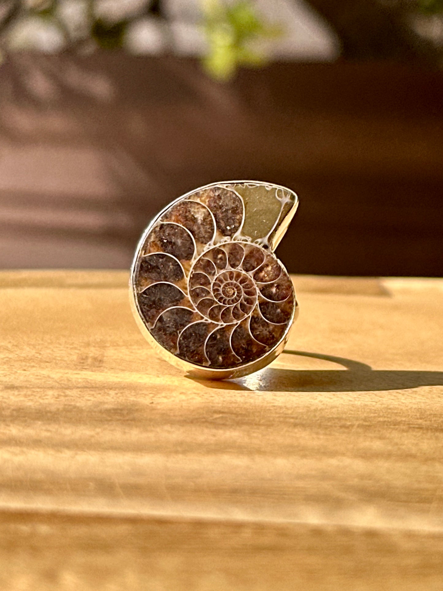 Anillo ajustable de Amonite