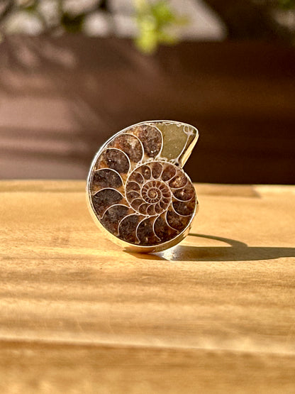 Anillo ajustable de Amonite