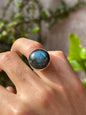 Anillo ajustable de labradorita