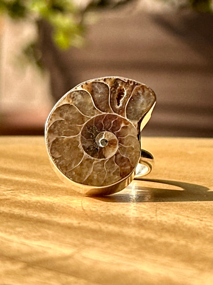 Anillo ajustable de Amonite