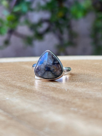Anillo Ajustable de Chiastolita