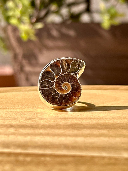 Anillo ajustable de Amonite