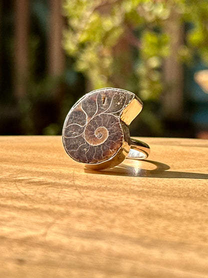 Anillo ajustable de Amonite