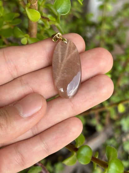 Dije de Piedra Sol con Cadena Acero Inoxidable Dorada