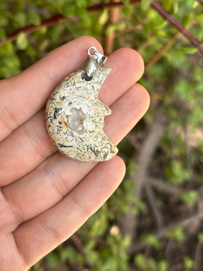 Dije de Turritela en Forma de Corazón con Cadena Acero Inoxidable Plateada