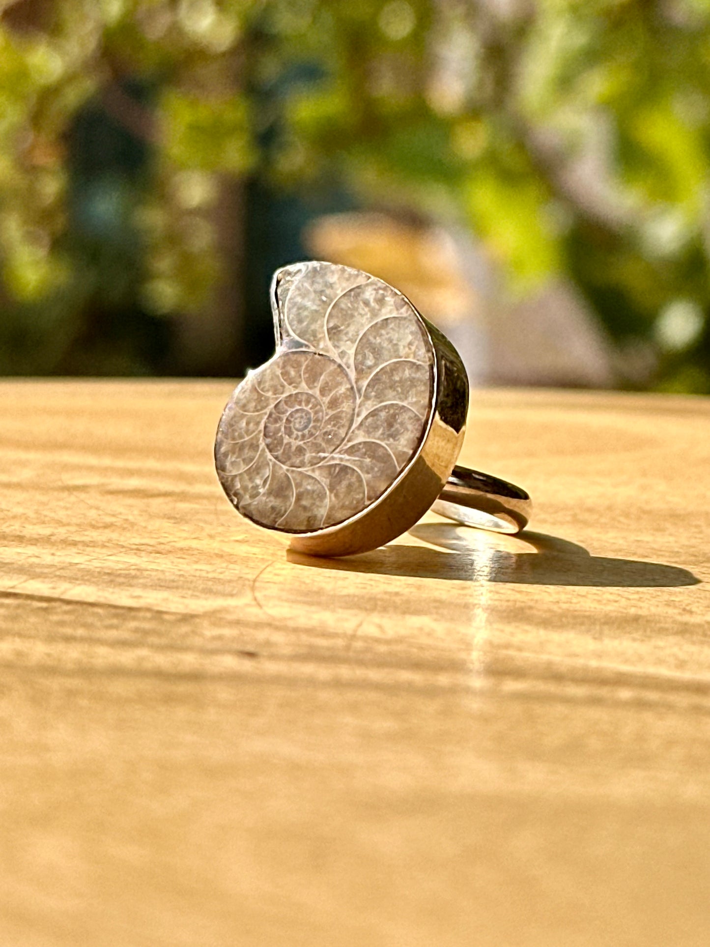 Anillo ajustable de Amonite