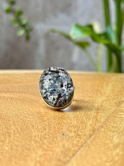 Anillo Ajustable de Astrofilita