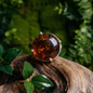 Anillo Ajustable de Ámbar de Chiapas