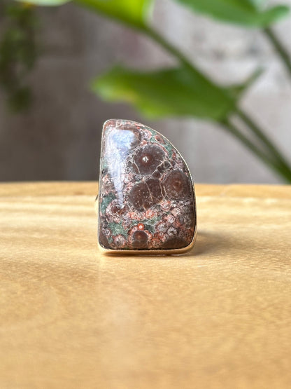 Anillo Ajustable de Jaspe Cocodrilo en Alpaca Platinada