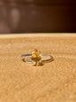 Anillo ajustable de Heliodoro