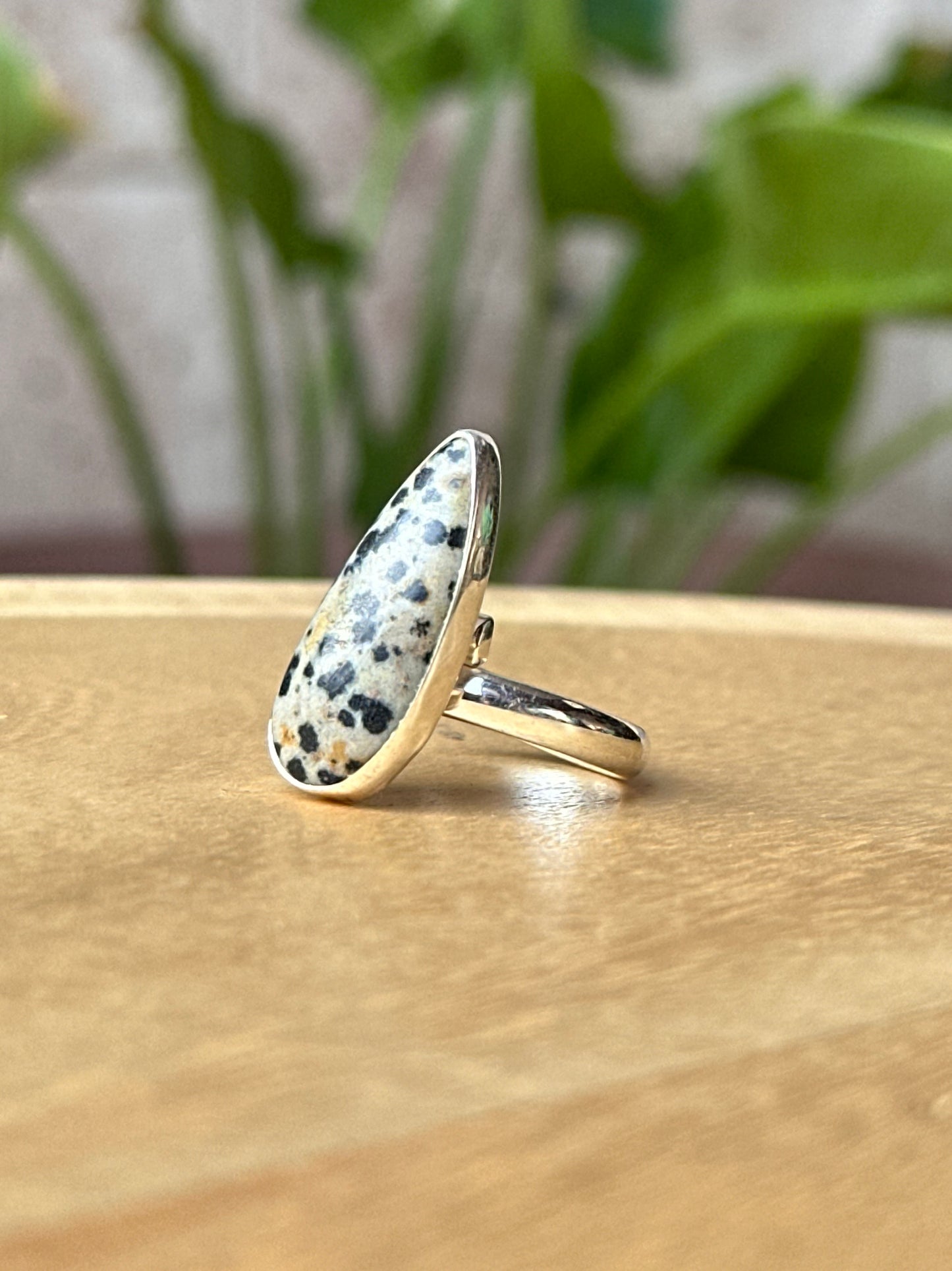 Anillo ajustable de Jaspe dálmata