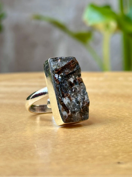 Anillo Ajustable de Astrofilita