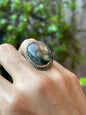 Anillo ajustable de labradorita