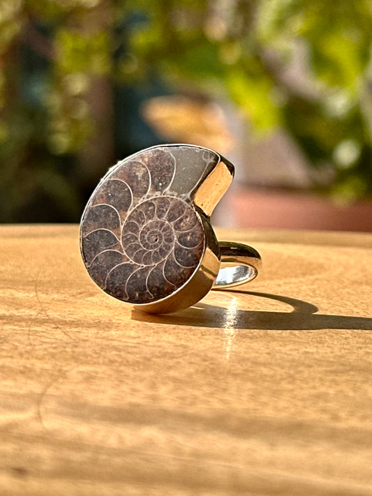 Anillo ajustable de Amonite