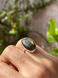 Anillo ajustable de labradorita