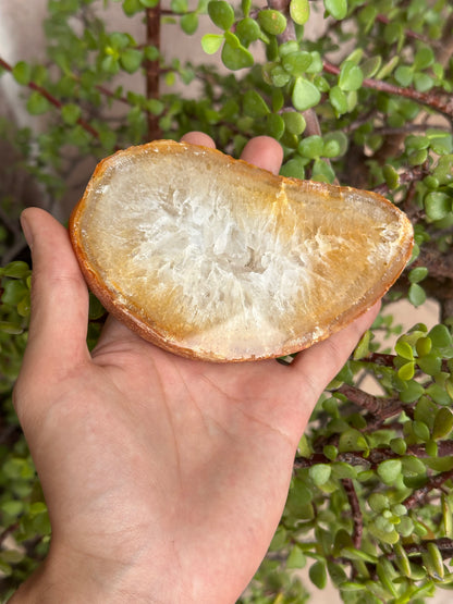 Lajas de ágata grandes de Brasil