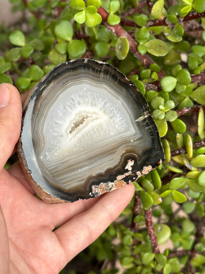 Lajas de Ágata Chicas de Brasil