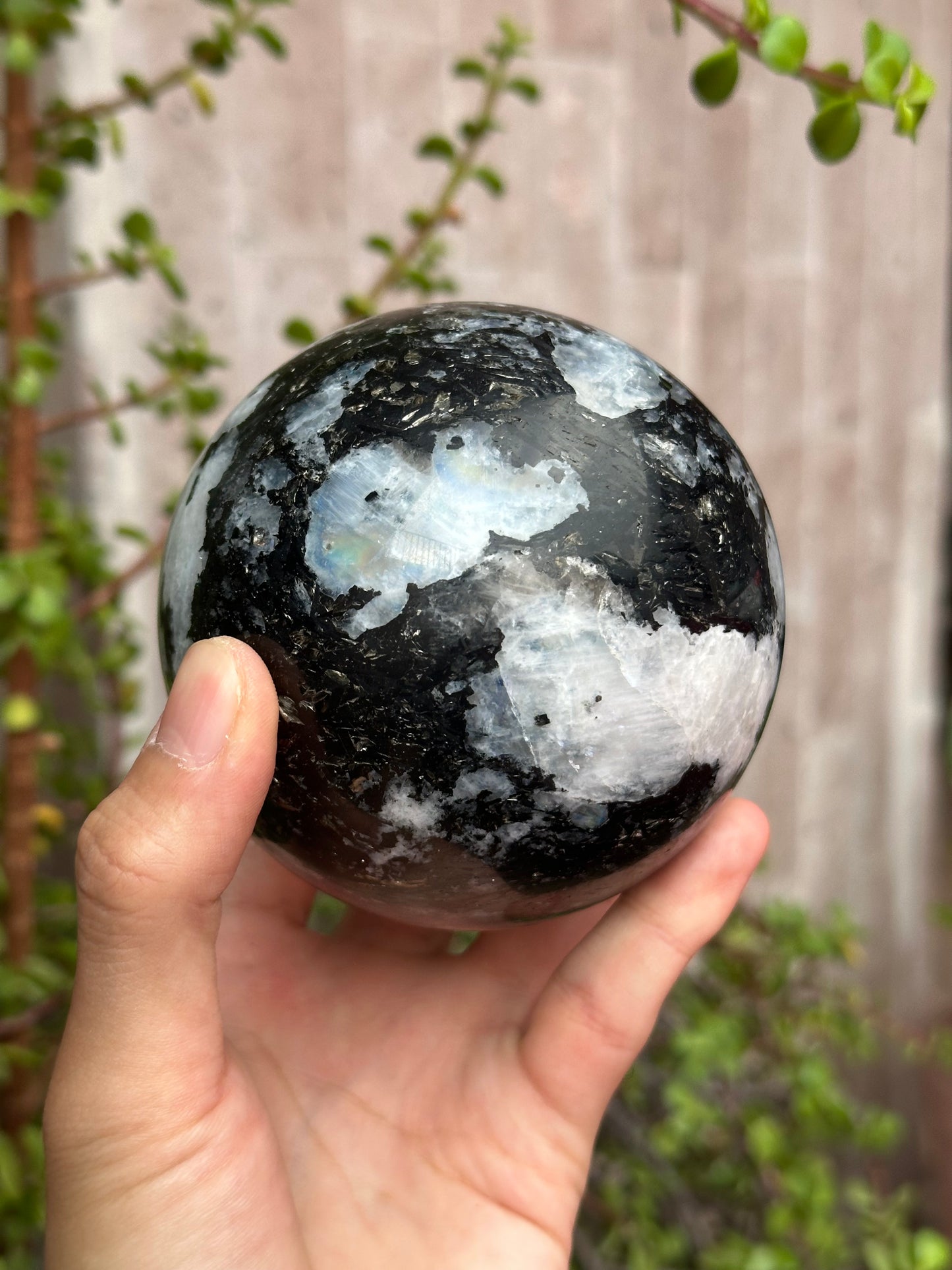 Esfera de Piedra Luna
