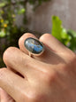 Anillo ajustable de labradorita