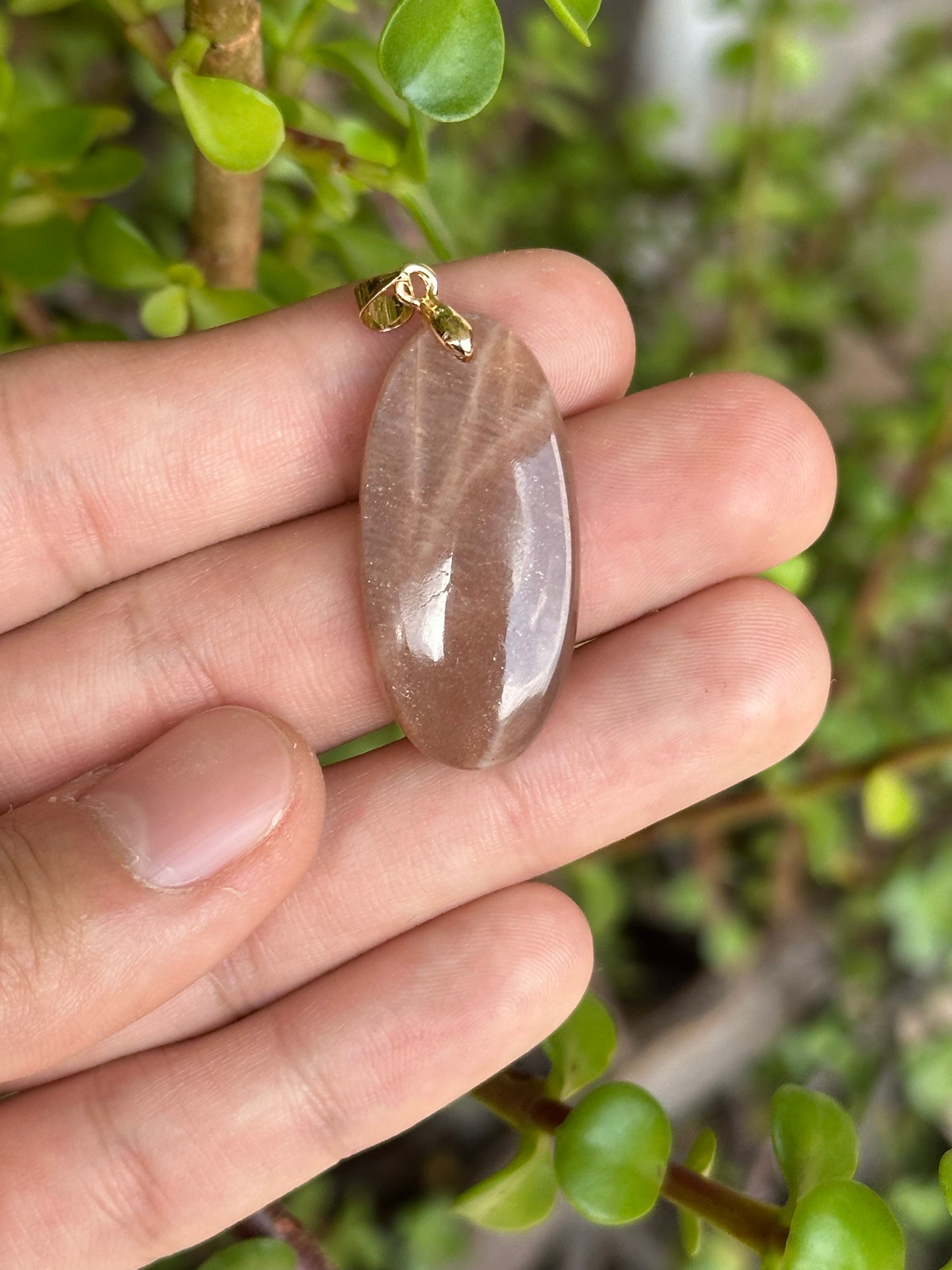 Dije de Piedra Sol con Cadena Acero Inoxidable Dorada