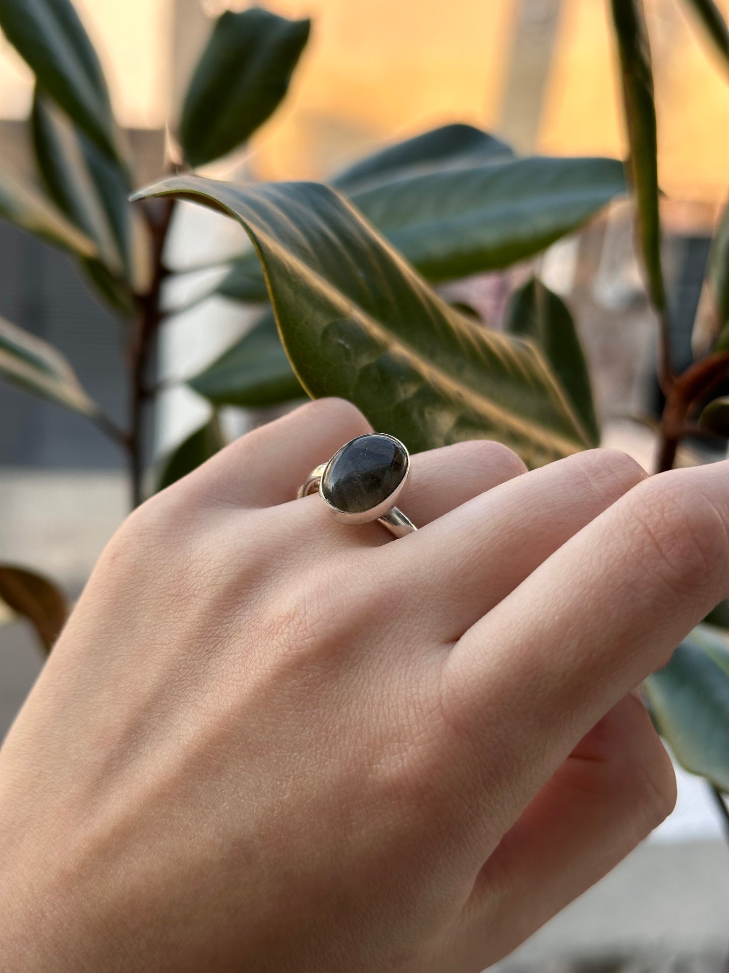Anillo ajustable de Labradorita
